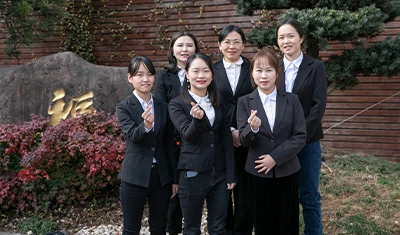 page-1-1 Sales Team